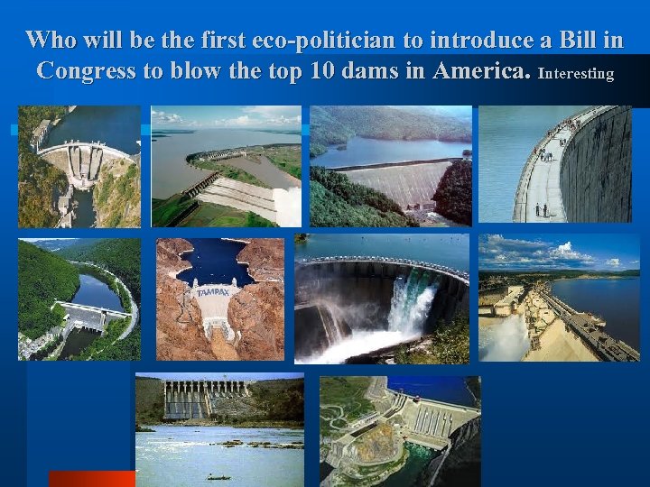 Who will be the first eco-politician to introduce a Bill in Congress to blow