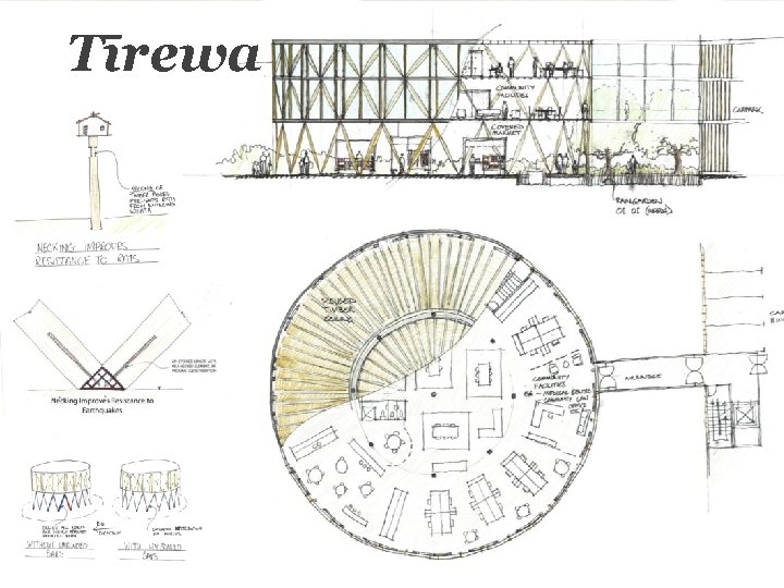 Tīrewa A community space comments on cultural history Derived from the structure of the