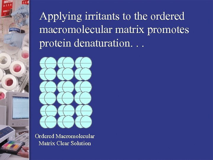 Applying irritants to the ordered macromolecular matrix promotes protein denaturation. . . Ordered Macromolecular