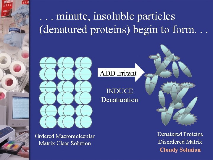 . . . minute, insoluble particles (denatured proteins) begin to form. . . ADD