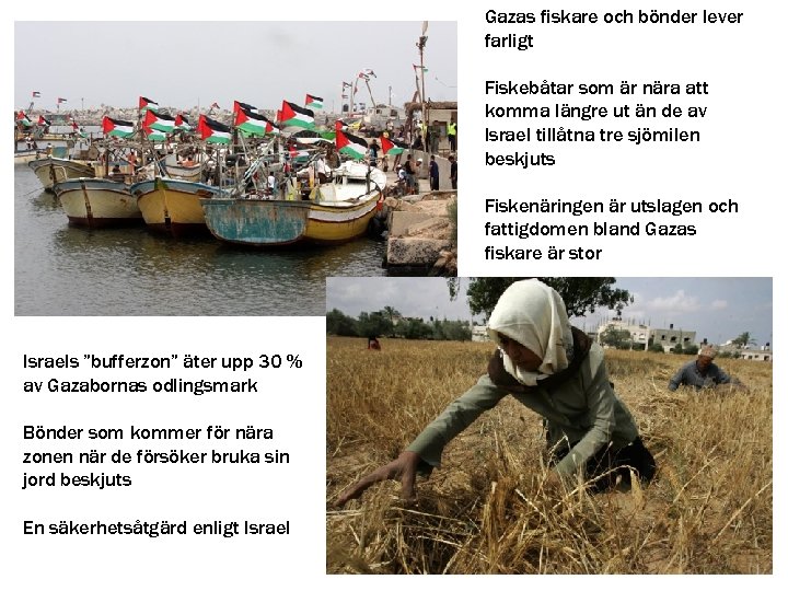 Gazas fiskare och bönder lever farligt Fiskebåtar som är nära att komma längre ut