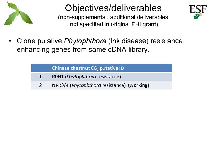 Objectives/deliverables (non-supplemental, additional deliverables not specified in original FHI grant) • Clone putative Phytophthora