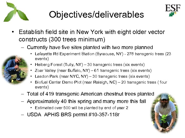 Objectives/deliverables • Establish field site in New York with eight older vector constructs (300