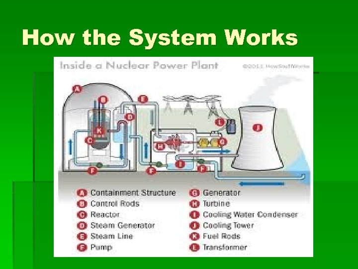 How the System Works 