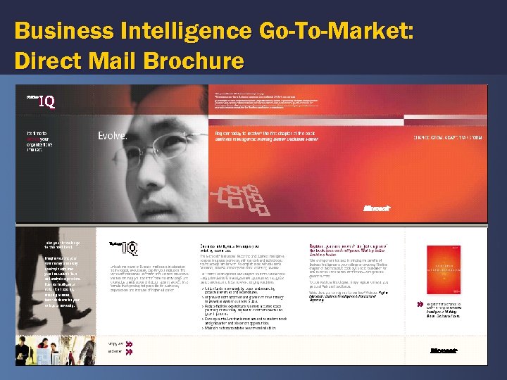 Business Intelligence Go-To-Market: Direct Mail Brochure 