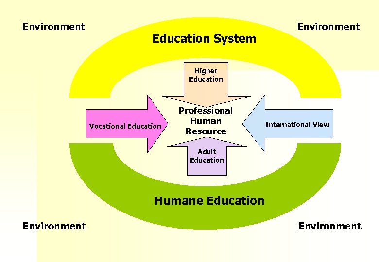 Environment Education System Environment Higher Education Vocational Education Professional Human Resource International View Adult