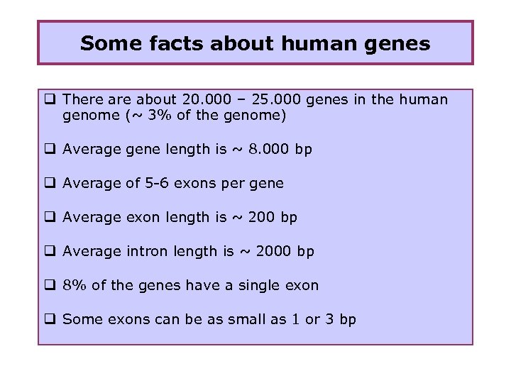 Some facts about human genes q There about 20. 000 – 25. 000 genes