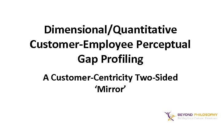 Dimensional/Quantitative Customer-Employee Perceptual Gap Profiling A Customer-Centricity Two-Sided ‘Mirror’ 