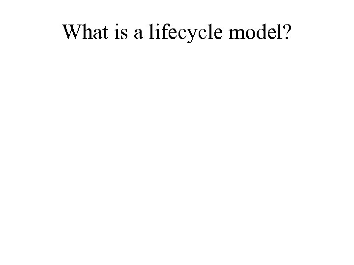 What is a lifecycle model? 