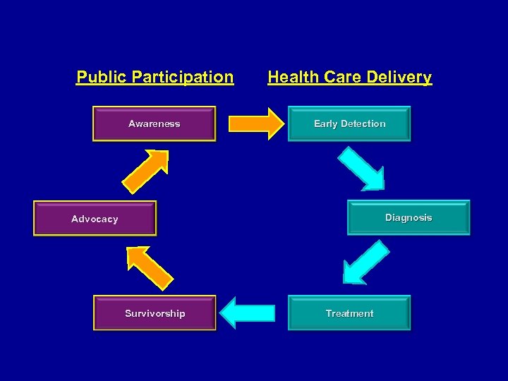 Public Participation Health Care Delivery Awareness Early Detection Diagnosis Advocacy Survivorship Treatment 