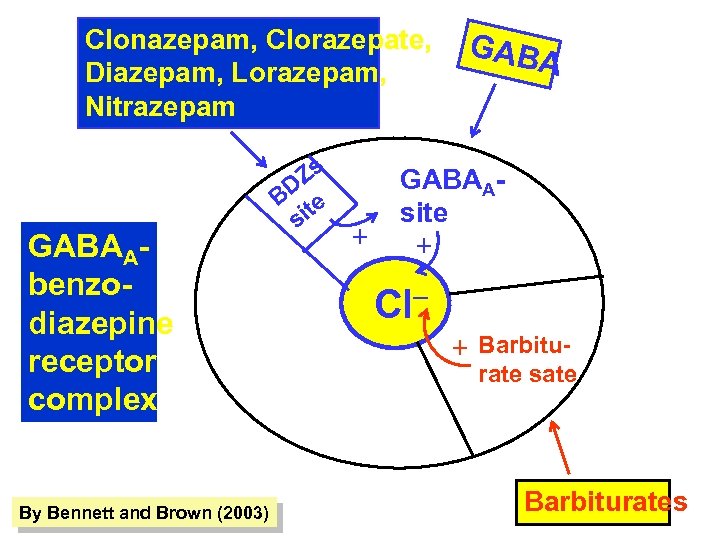 Clonazepam, Clorazepate, Diazepam, Lorazepam, Nitrazepam GABAAbenzodiazepine receptor complex By Bennett and Brown (2003) Zs