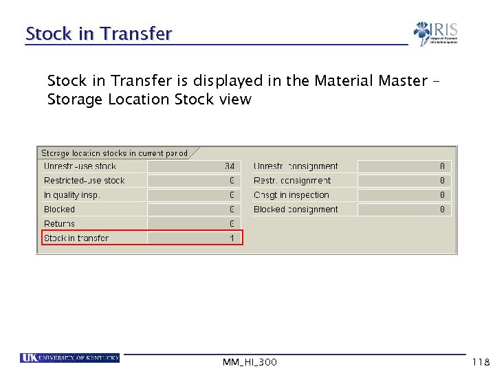 Stock in Transfer is displayed in the Material Master – Storage Location Stock view