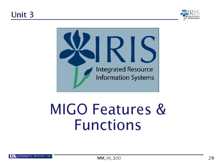 Unit 3 MIGO Features & Functions MM_HI_300 29 