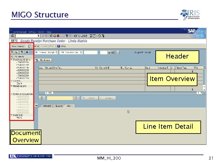 MIGO Structure Header Item Overview Line Item Detail Document Overview MM_HI_300 31 