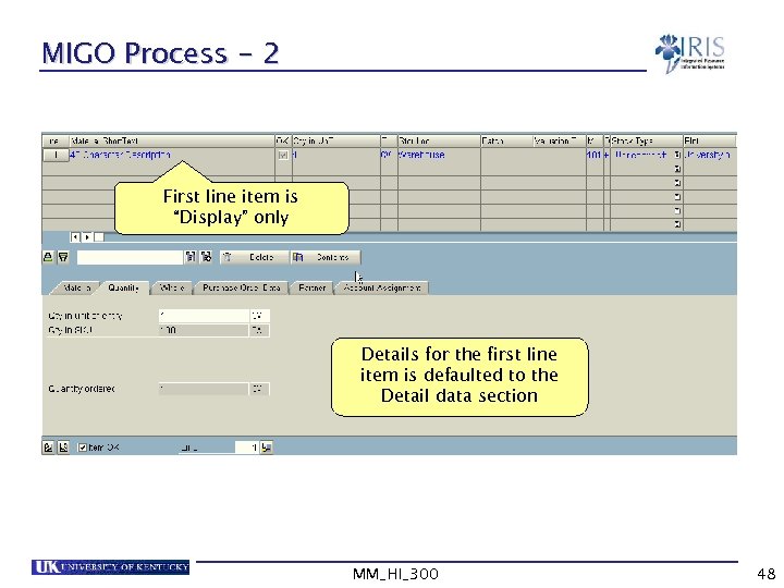 MIGO Process - 2 First line item is “Display” only Details for the first
