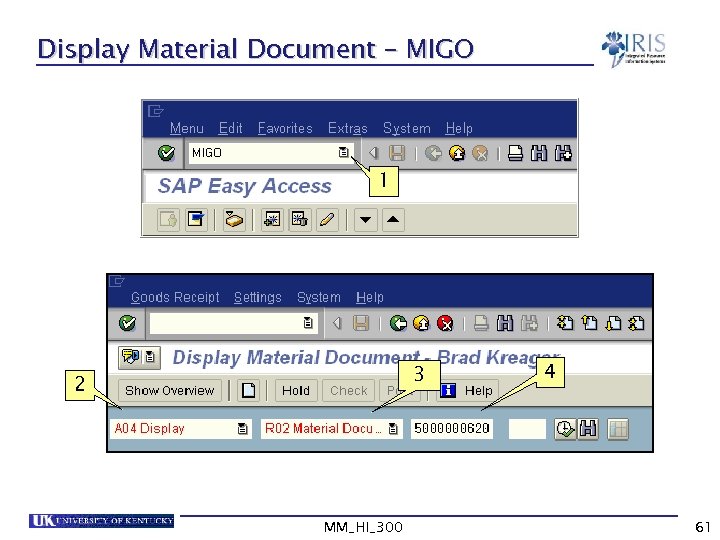 Display Material Document – MIGO 1 3 2 MM_HI_300 4 61 