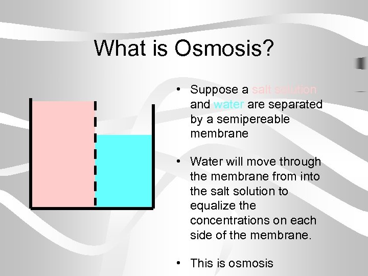What is Osmosis? • Suppose a salt solution and water are separated by a