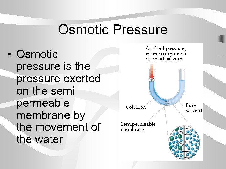 Osmotic Pressure • Osmotic pressure is the pressure exerted on the semi permeable membrane