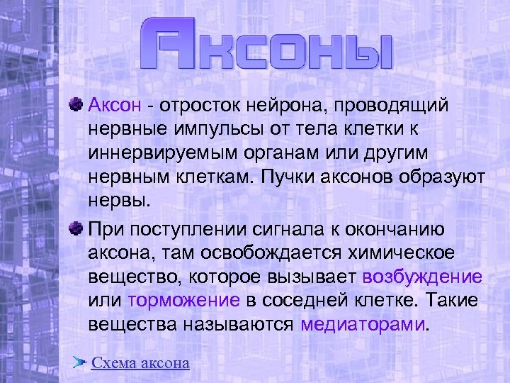 Аксон - отросток нейрона, проводящий нервные импульсы от тела клетки к иннервируемым органам или