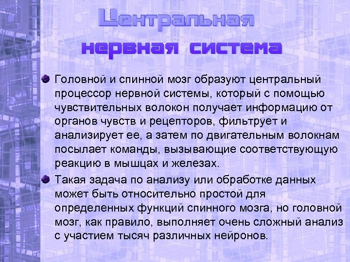 Головной и спинной мозг образуют центральный процессор нервной системы, который с помощью чувствительных волокон