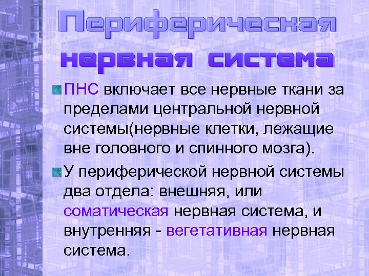 ПНС включает все нервные ткани за пределами центральной нервной системы(нервные клетки, лежащие вне головного