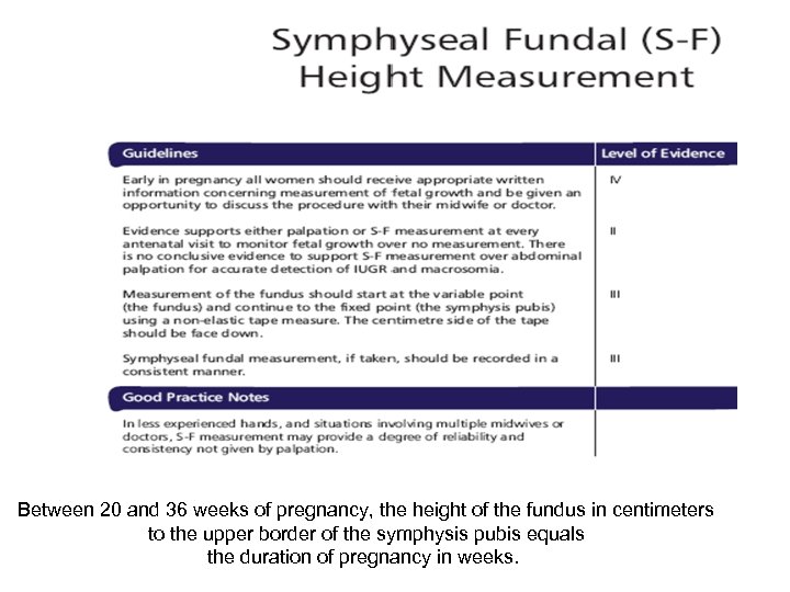 Between 20 and 36 weeks of pregnancy, the height of the fundus in centimeters