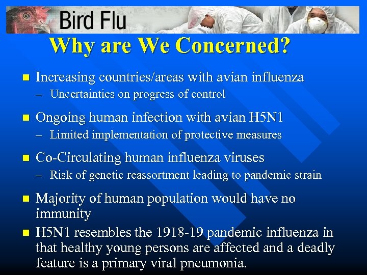 Why are We Concerned? n Increasing countries/areas with avian influenza – Uncertainties on progress