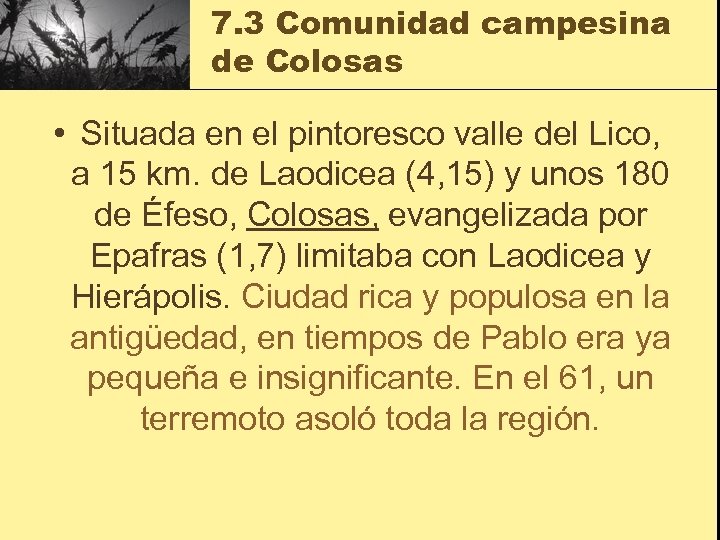7. 3 Comunidad campesina de Colosas • Situada en el pintoresco valle del Lico,