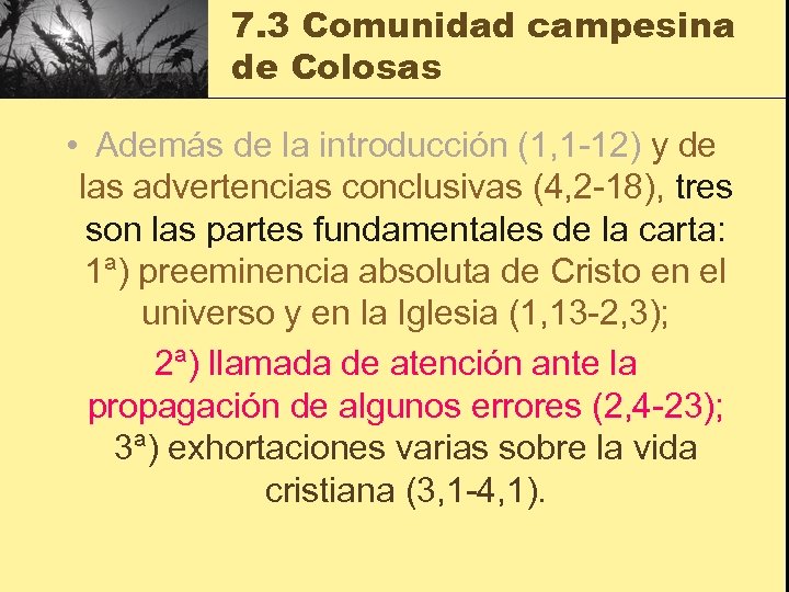 7. 3 Comunidad campesina de Colosas • Además de la introducción (1, 1 -12)