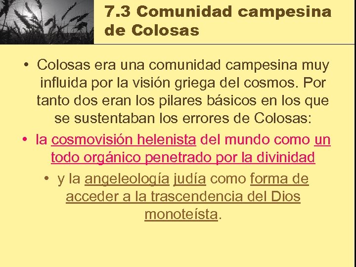 7. 3 Comunidad campesina de Colosas • Colosas era una comunidad campesina muy influida