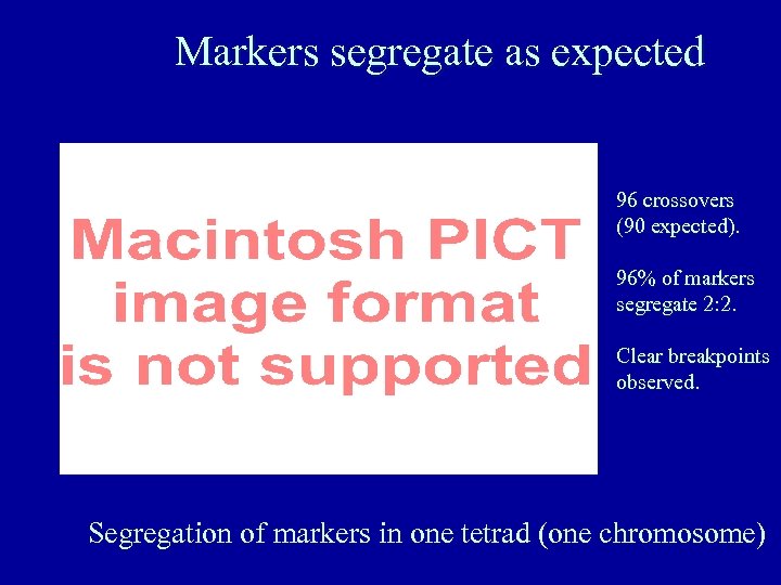 Markers segregate as expected 96 crossovers (90 expected). 96% of markers segregate 2: 2.