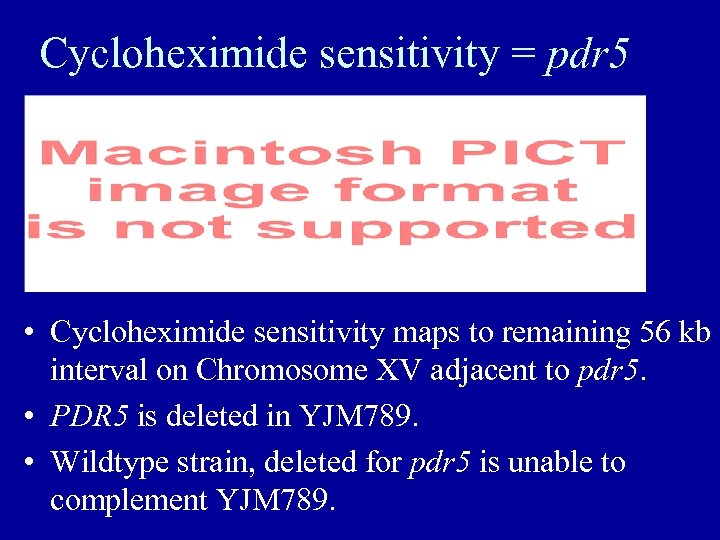 Cycloheximide sensitivity = pdr 5 • Cycloheximide sensitivity maps to remaining 56 kb interval