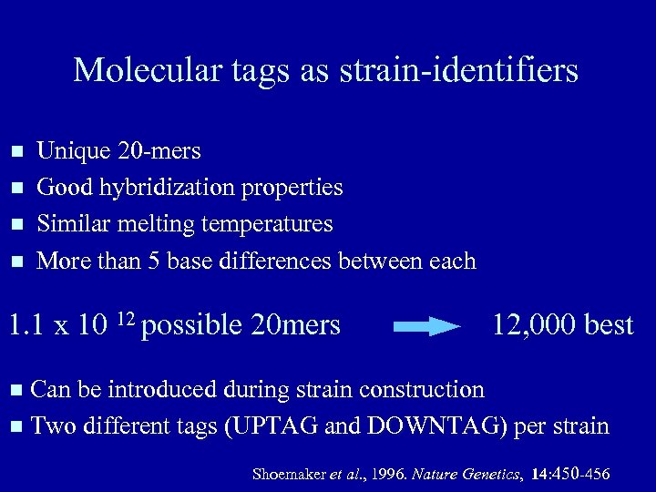 Molecular tags as strain-identifiers Unique 20 -mers Good hybridization properties Similar melting temperatures More