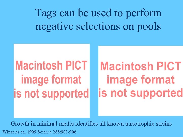 Tags can be used to perform negative selections on pools Growth in minimal media