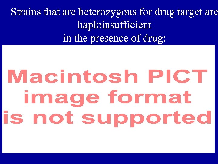 Strains that are heterozygous for drug target are haploinsufficient in the presence of drug: