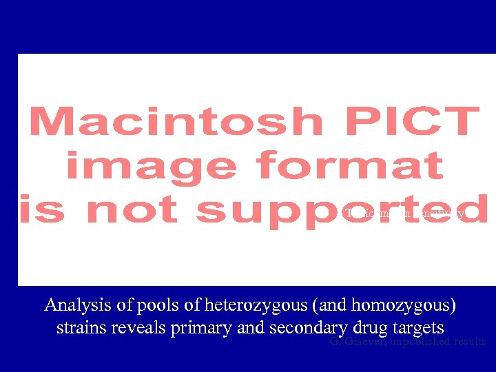 Tunicamycin sensitivity Analysis of pools of heterozygous (and homozygous) strains reveals primary and secondary