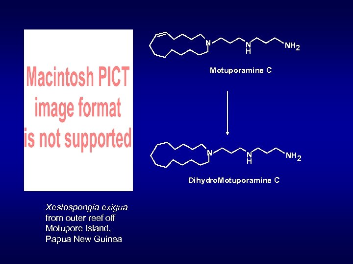 N N H NH 2 Motuporamine C N N H Dihydro. Motuporamine C Xestospongia