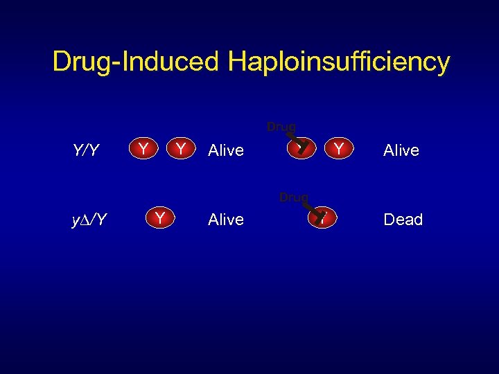 Drug-Induced Haploinsufficiency Drug Y/Y Y Y Alive Drug y∆/Y Y Alive Y Dead 