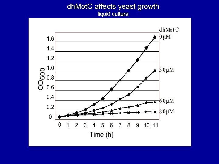 dh. Mot. C affects yeast growth liquid culture 