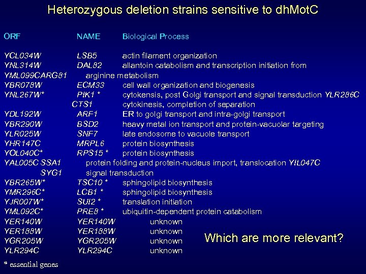 Heterozygous deletion strains sensitive to dh. Mot. C ORF YCL 034 W YNL 314