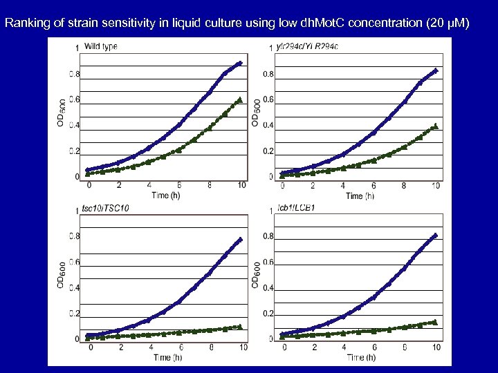 Ranking of strain sensitivity in liquid culture using low dh. Mot. C concentration (20