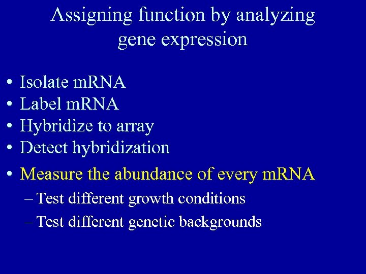 Assigning function by analyzing gene expression • • • Isolate m. RNA Label m.