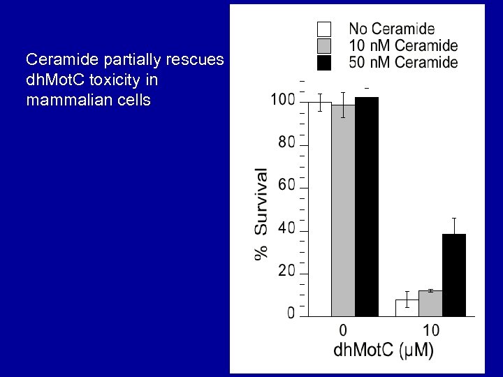 Ceramide partially rescues dh. Mot. C toxicity in mammalian cells 