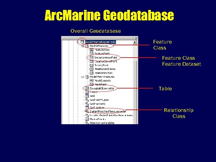 Arc. Marine Geodatabase Overall Geodatabase Feature Class Feature Dataset Table Relationship Class 