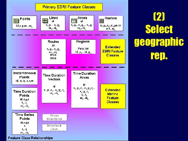 (2) Select geographic rep. 