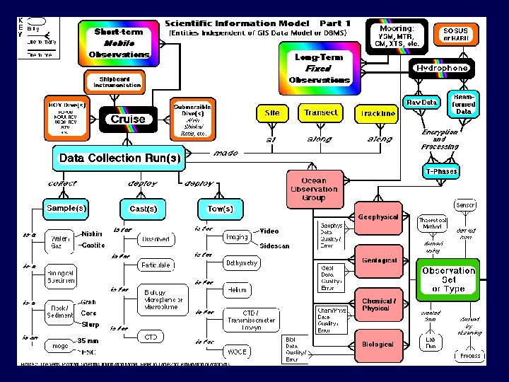Unified Modeling Language • Entity-relationship diagrams • Design methodologies, diagram notations • UML –