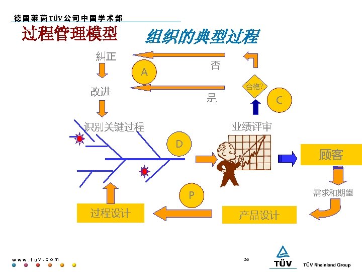 德 国 莱 茵 TÜV 公 司 中 国 学 术 部 过程管理模型 组织的典型过程