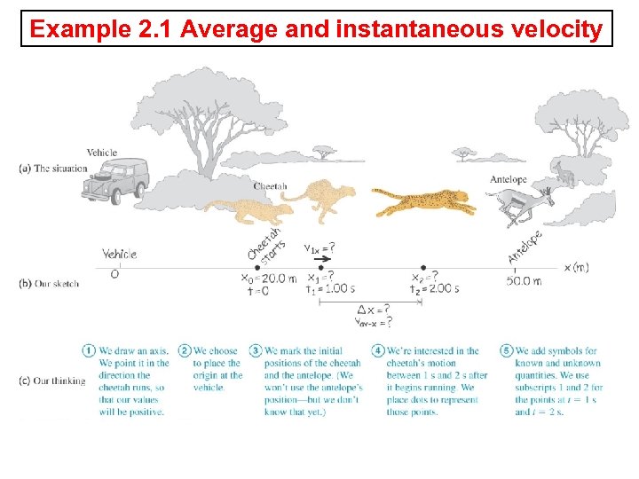 Example 2. 1 Average and instantaneous velocity 