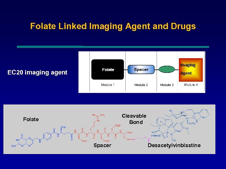 Folate Linked Imaging Agent and Drugs Imaging EC 20 imaging agent Agent Cleavable Bond