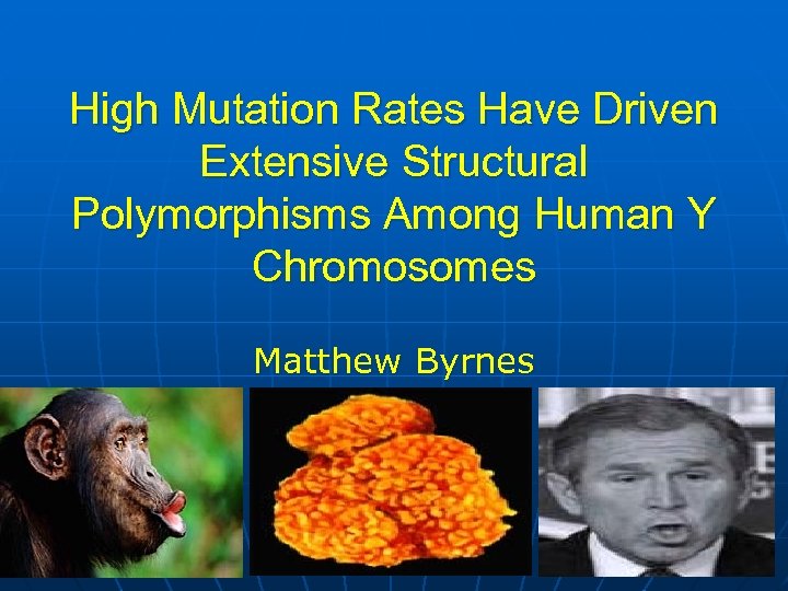 High Mutation Rates Have Driven Extensive Structural Polymorphisms Among Human Y Chromosomes Matthew Byrnes